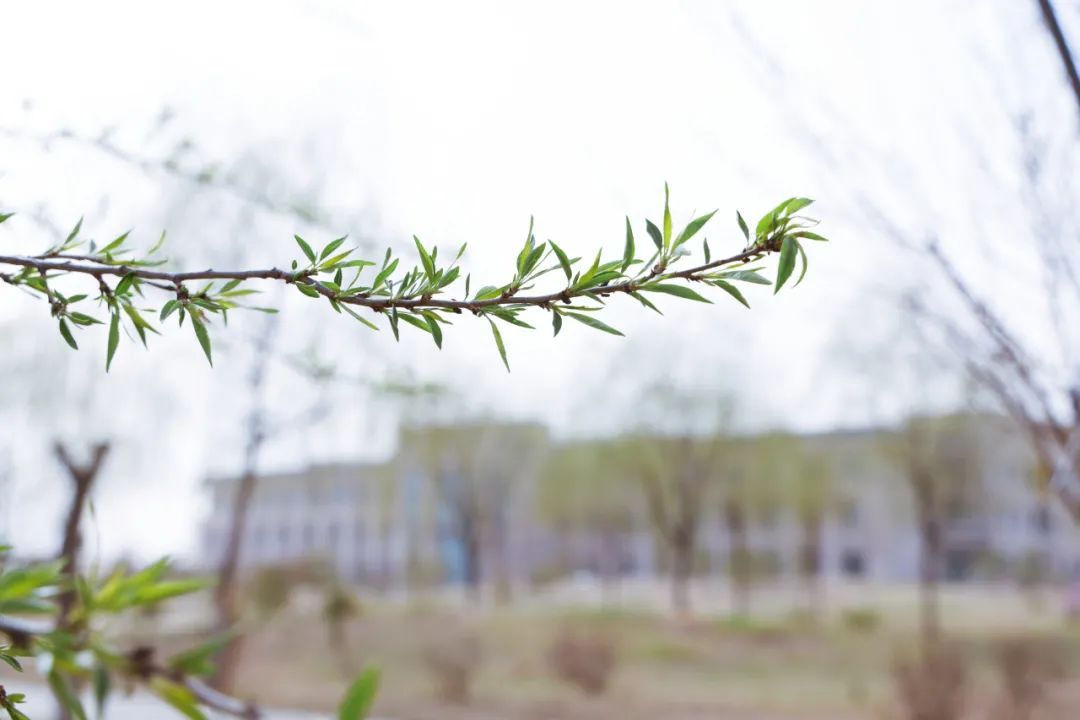 图片 10.jpg