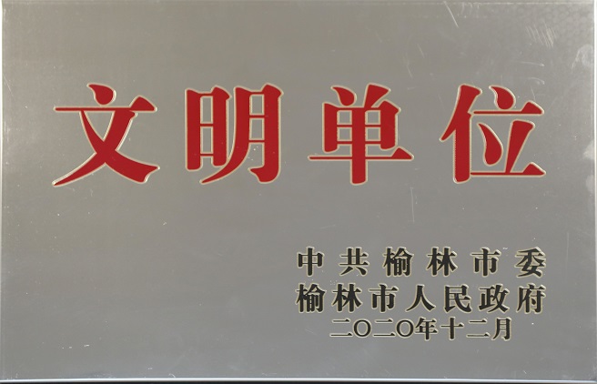 2020年十仲春荣获中共榆林市委榆林市人民当局文化单元.jpg
