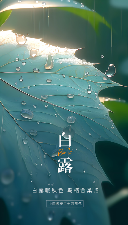 1fe9ffd5ccbfee07fa1e122e96c6f941.png